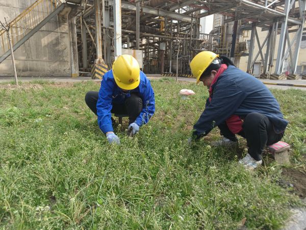 3月22日，行政保衛(wèi)部馬師傅和孫師傅在道路兩旁清除雜草。.jpg