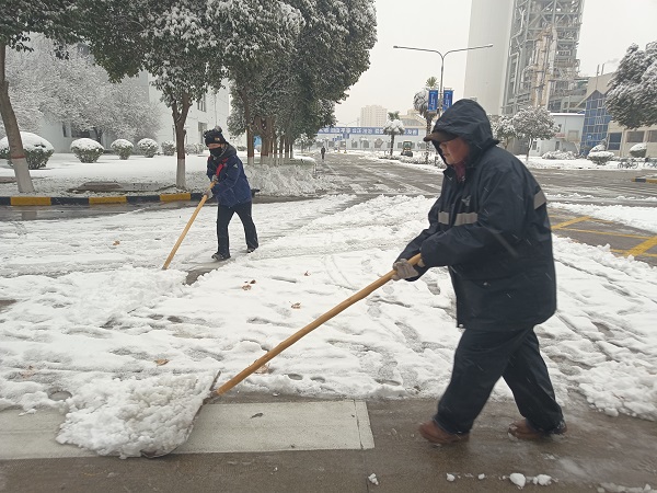 2024年1月15日，行政保衛(wèi)部組織人員在各主干道、人行道進行掃雪.jpg