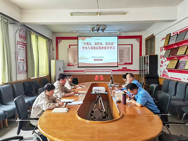 4月11日，渭河塑業(yè)公司全體黨員集中學(xué)習(xí)中央八項(xiàng)規(guī)定精神.jpg